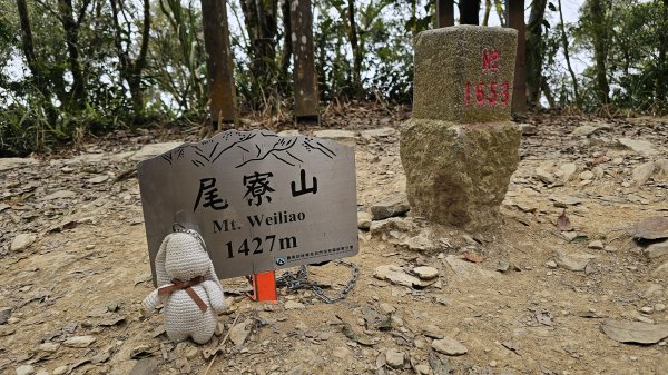 【與好友父子同行，步伐輕盈，心也安定!】16訪尾寮山⛰️周末人氣滿滿！魔王的氣場果然不同凡響💪封面