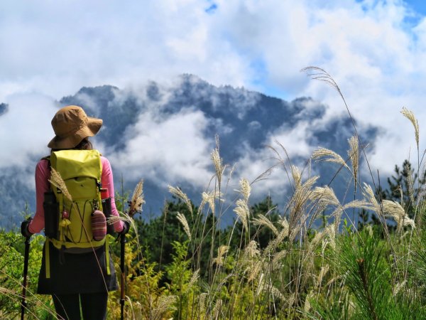 卯木山 （合歡越嶺古道）拜訪山頂森林瞭望台1462264