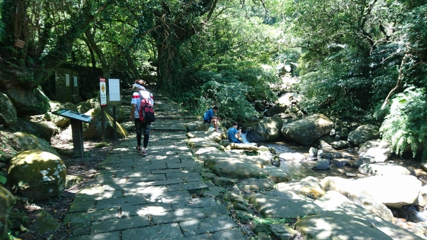 福隆．遠望坑．草嶺古道．桃源谷．大溪49587