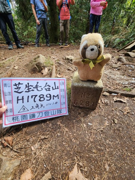 112/2/11芝生毛台山、屯野生炮台2148117
