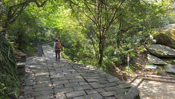 (姨婆趴趴走)第四十八集:新北草嶺古道（福隆車站-大里車站）2747669