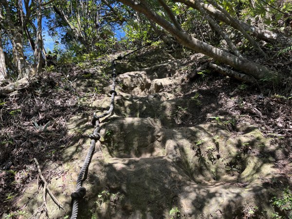 [微笑山線_第九段] 2025_0914 二格山系_天王峰2889607