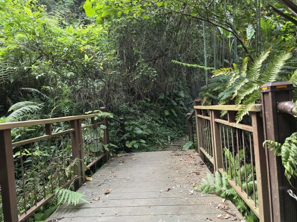 [皮皮獅探險隊-10/10] 2025_0816 白蘭溪古道2862943