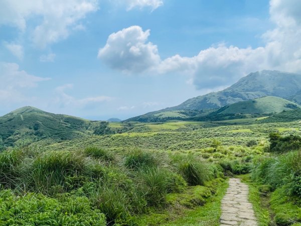 1140621冷水坑-擎天崗-石梯嶺2817706