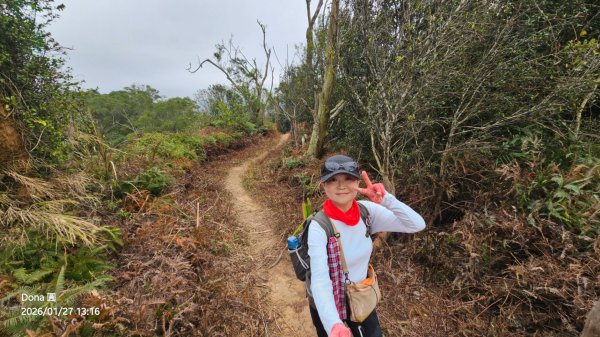 20260127三通嶺山.三義山(大桁茂山).慈濟山.大坪山大O走2989972