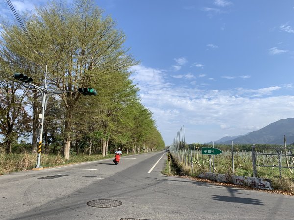 20250315屏東頭崙山-頭崙山西北峰2737216