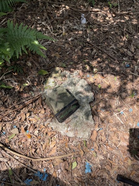 魚猴13連峰2757354