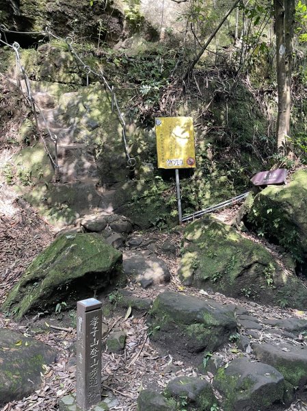 微笑山線/五分山系3013340