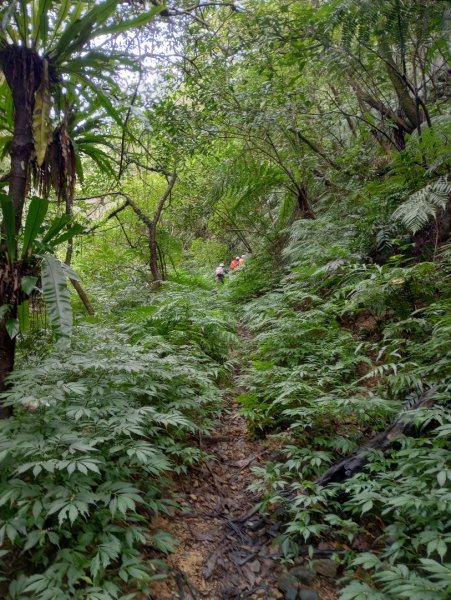雷公埤山-鱷魚島觀景-小格頭獅頭山2001532