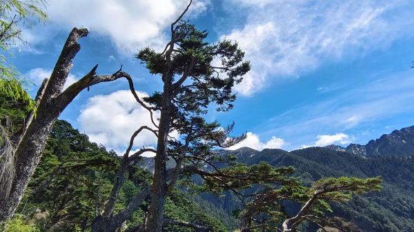 玉山北/西峰（排雲雲海/夕陽/下雨）1496063