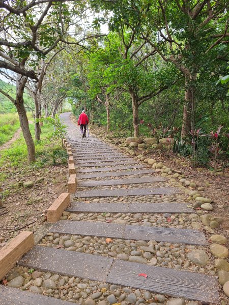 竹坑南寮登山步道~舒服山景2759631