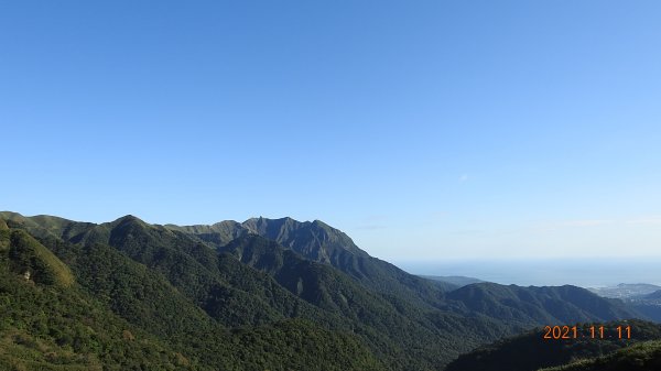 秋高氣爽芒花季再度陽明山天際線-七星山主東峰+大屯山主南西峰向天面天山O型+小觀音山主西南峰共10峰1511051