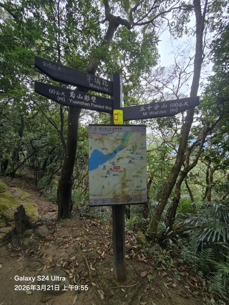 2026-03-21微笑山線：【鳶山山系】鳶山彩壁段3020476