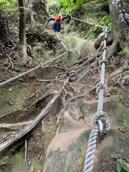 台北市 文山區 猴山岳2722120