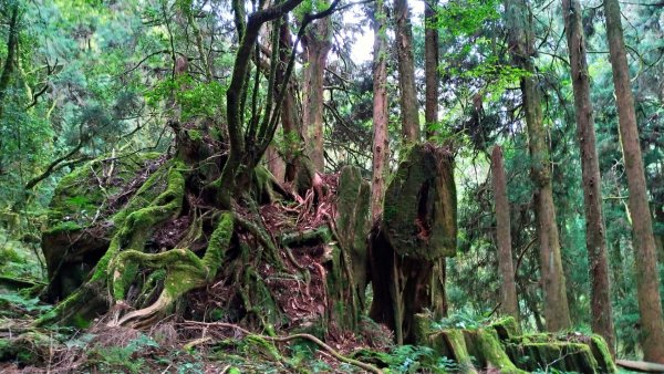 特富野、兒玉山、東水山、北霞山、一次滿足1005896