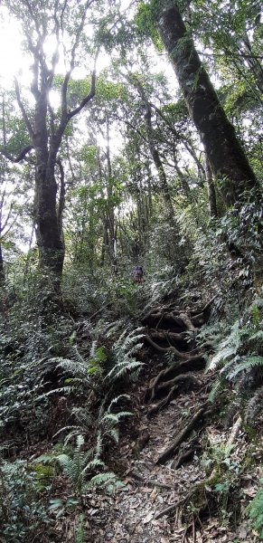 白姑大山之旅743403