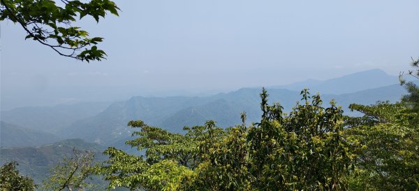 2026/04/14 高島縱走P型3037526