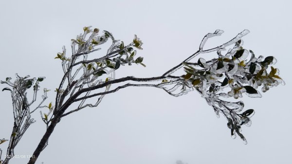 #霧淞 #雲海 #雲瀑 #霧虹 #太平山 #望洋山 #觀雲步道 #翠峰道路  2/82995351