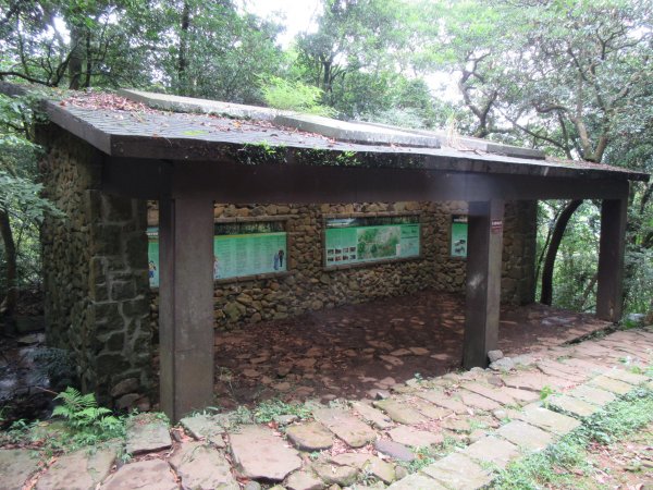 20201002-魚路古道北段1116774