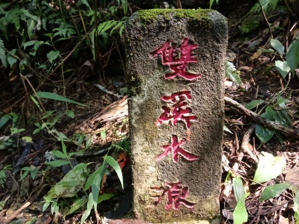 雙溪區雙坪一號橋+盤山坑山+土地公山+474峰+石硿子越嶺古道O型2936381