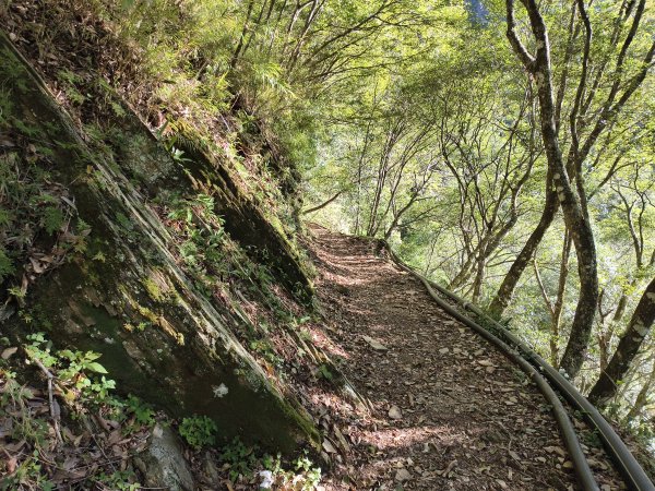 [玉山尋寶任務-07/12] 2025_0824 八通關雲龍瀑布步道2870562