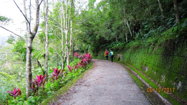 礁溪 - 聖母步道  煙雨故人來 ... 222683