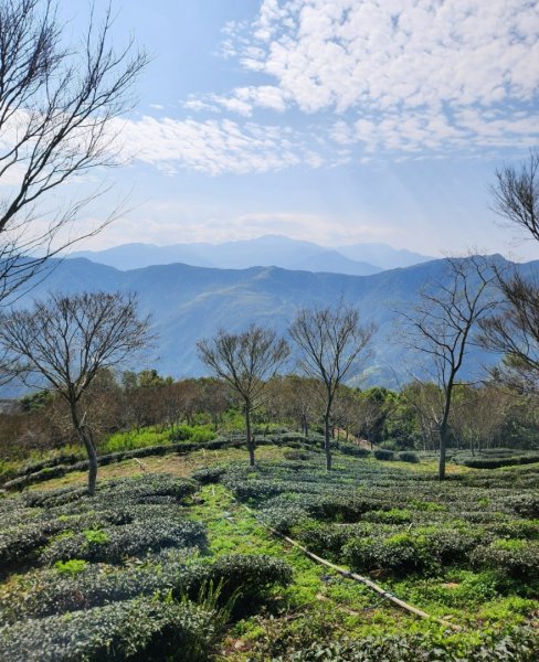 【中級山】邑治第一山，守城大山，連走守關山，守關山南峰2740894