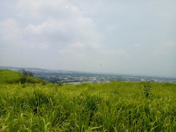 大肚知高圳步道上學田山+沙田山+大肚山1899099