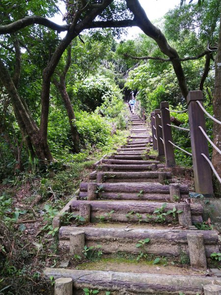挑戰1063階的木棧階梯。 新田登山步道776925