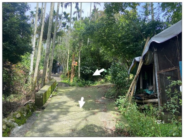 後棟仔山 O型路線2833457