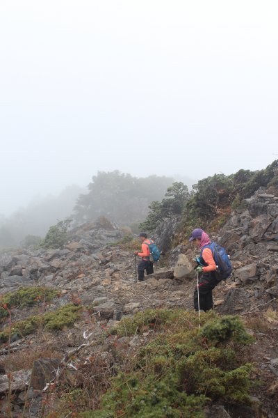 20221107南橫關山嶺山溪頭山O型1910680