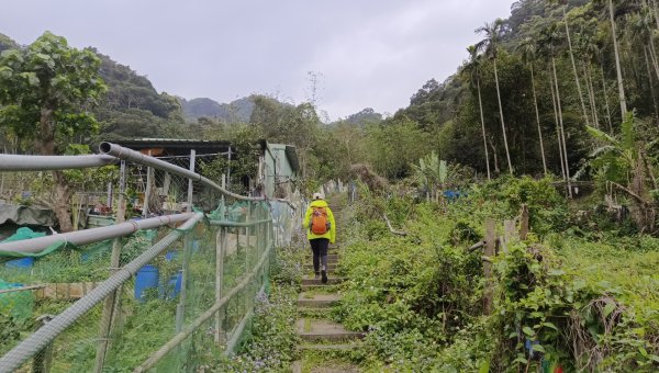 (姨婆趴趴走)第四十七集:新北土城大暖坑山等諸峰攀登連走2738737