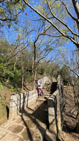 拱北殿賞楓🍁雙湖縱走賞落羽松2686656