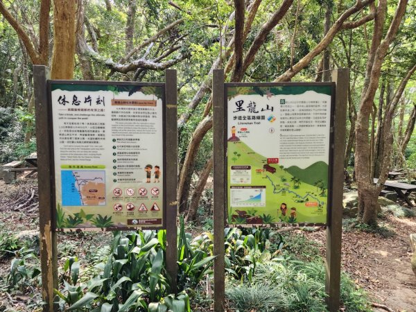 小百岳No.80⛰里龍山2776343