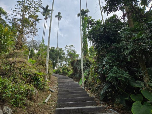 石硦林場（桶頭山）2991261