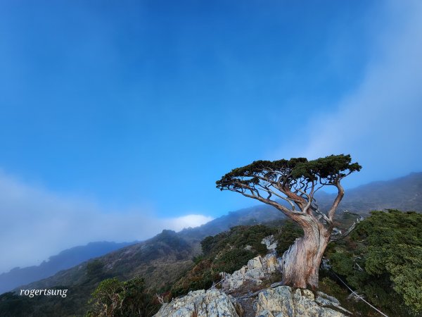 嘉明湖三天兩夜，飽覽無盡美景(嘉明湖、三叉山、向陽山)2366494