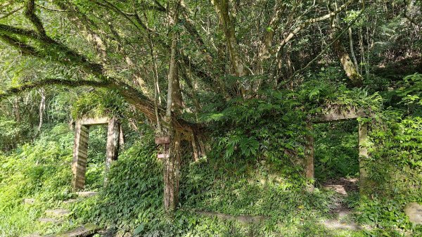 淡蘭古道中路2532753