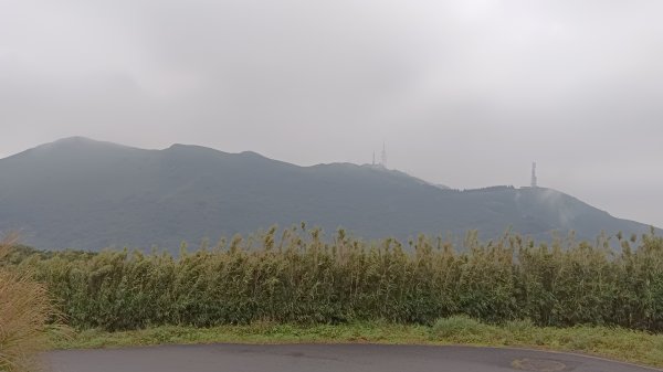 大屯山環狀2114321