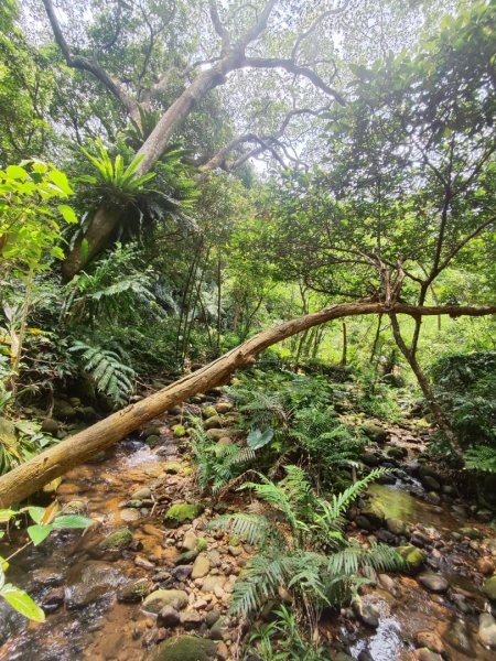 林口新林老公崎步道2773705