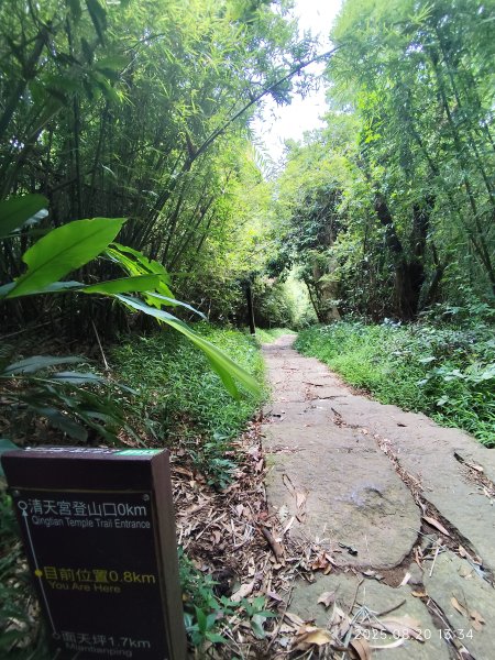 【臺北大縱走 1+2】2-2 大屯主峰-連峰步道→下青礐步道→貴子坑步道→忠義山步道→楓丹白露步道2866918