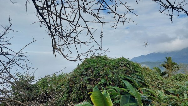 臺南白河關子嶺雞籠山步道1571887