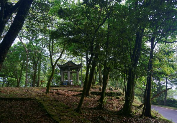 大尖山、四分尾山步道1332211