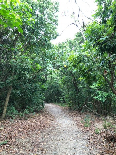 2020.04.02北柴山900681