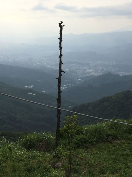 姜子寮山步道410625