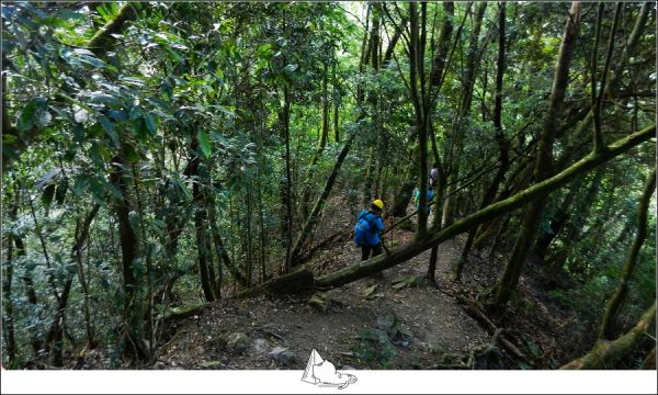 谷關七雄之，霧行屋我尾山411008