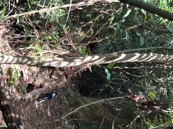 溪州山 石門山2763506