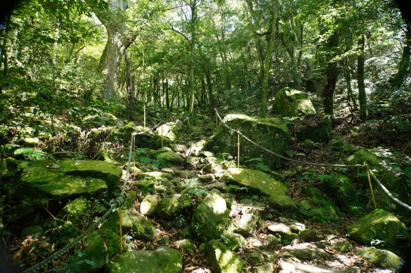 台中 和平 鳶嘴山2926903