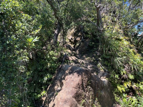 [微笑山線_第九段] 2025_0914 二格山系_天王峰2889563