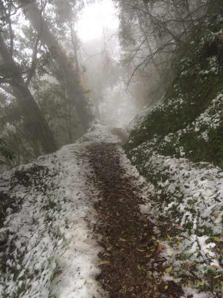 山岳之美 塔曼踏雪8425