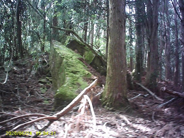台21號公路的同富(埔沙)山3061839